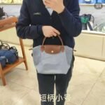 Long Champ leather bag 03 Have 3 sizes