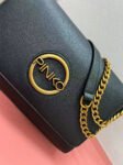 pinko bag PK-003