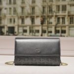 CHCH bag 210511 20x5x13