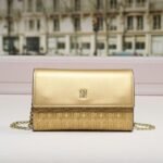 CHCH bag 210511 20x5x13