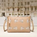 CHCH bag 240323 22.5x6.5x15