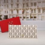 CHCH wallet CA13 20x9.5x2cm