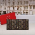 CHCH wallet CA13 20x9.5x2cm