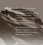 chch bag CN2C2088 23.5x4.5x19cm