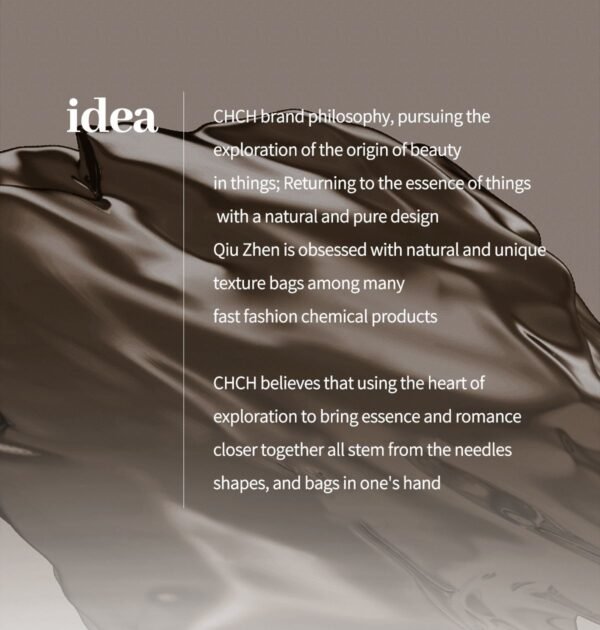 chch bag CN2C2088 23.5x4.5x19cm