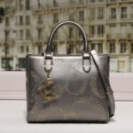 chch bag 240311-TY 24x10x20cm