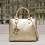 chch bag 240311-TY 24x10x20cm