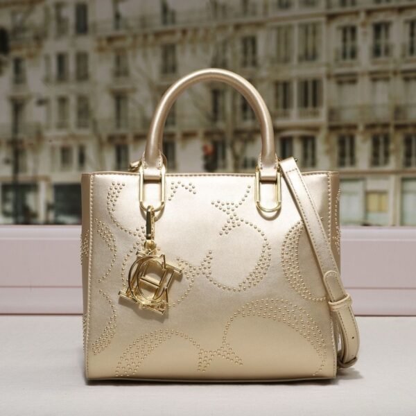 chch bag 240311-TY 24x10x20cm