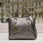 chch bag 240311-TY 24x10x20cm