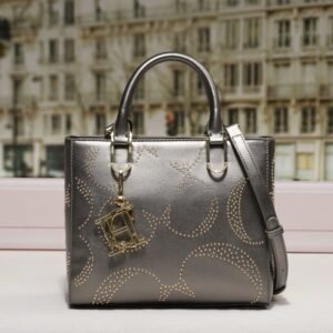 chch bag 240311-TY 24x10x20cm