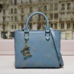 chch bag 240311-TY 24x10x20cm