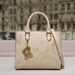 chch bag 240311-TY 24x10x20cm