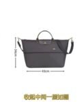 longchamp bag LC21 43x34cm