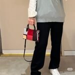 longchamp bag LC22