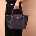 Longchamp bag LC26 S size