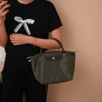 Longchamp bag LC26 S size