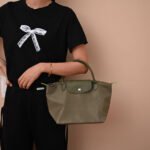 Longchamp bag LC26 S size