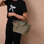 Longchamp bag LC26 S size