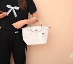 Longchamp bag LC26 S size