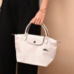 Longchamp bag LC26 S size