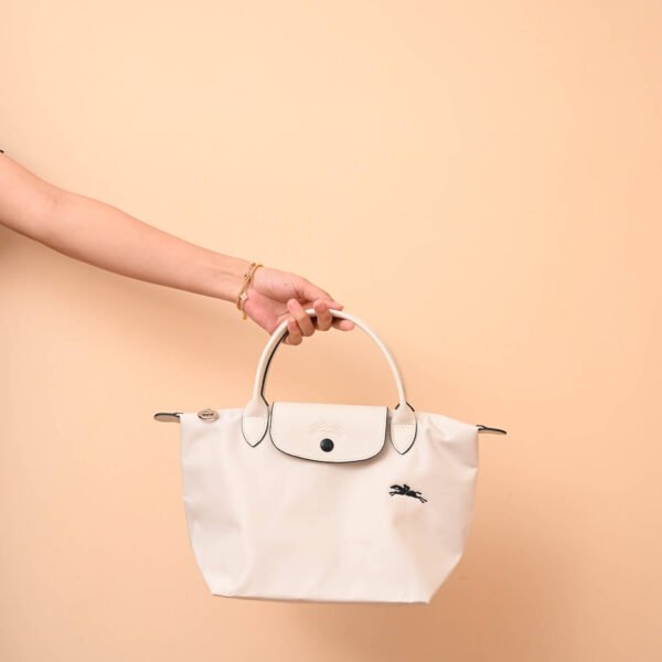 Longchamp bag LC26 S size