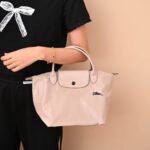 Longchamp bag LC26 S size