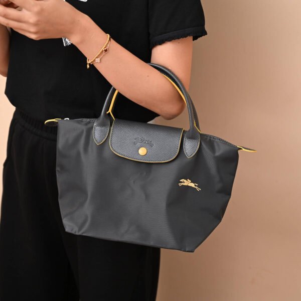 Longchamp bag LC26 S size