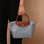 Longchamp bag LC26 S size