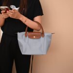 Longchamp bag LC26 S size