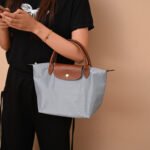 Longchamp bag LC26 S size