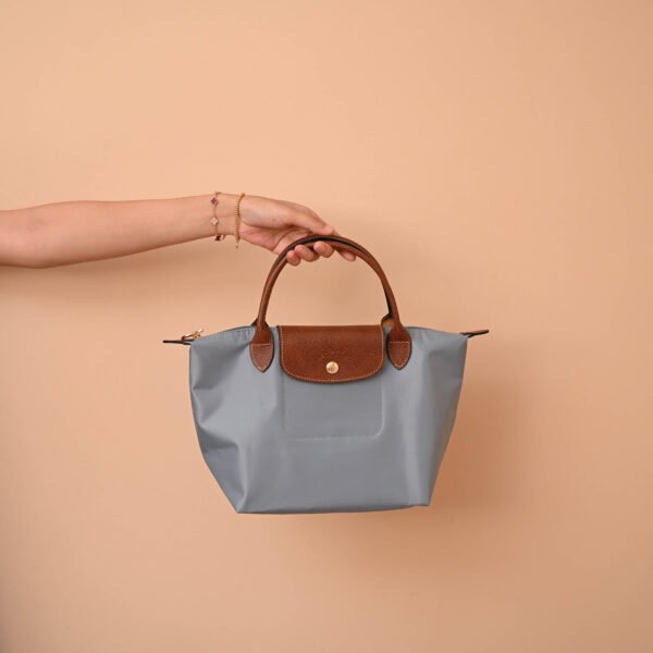 Longchamp bag LC26 S size