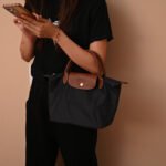 Longchamp bag LC26 S size