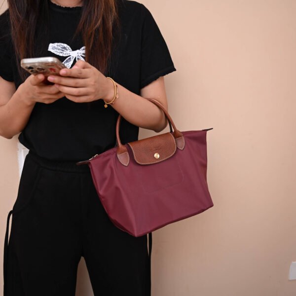 Longchamp bag LC26 S size