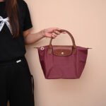 Longchamp bag LC26 S size