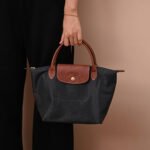 Longchamp bag LC26 S size
