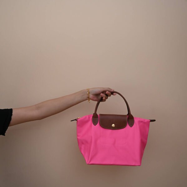 Longchamp bag LC26 S size