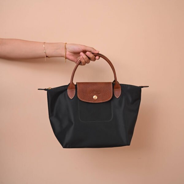 Longchamp bag LC26 S size