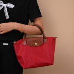 Longchamp bag LC26 S size