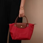 Longchamp bag LC26 S size
