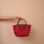 Longchamp bag LC26 S size