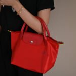 Longchamp bag LC26 S size