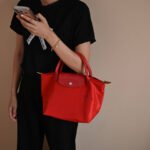 Longchamp bag LC26 S size