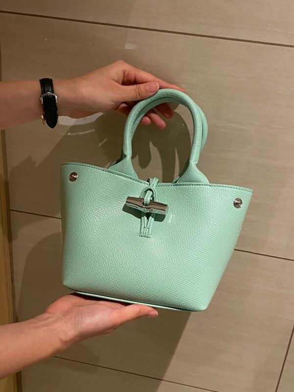 Longchamp bag LC29