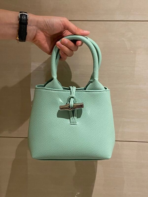 Longchamp bag LC29
