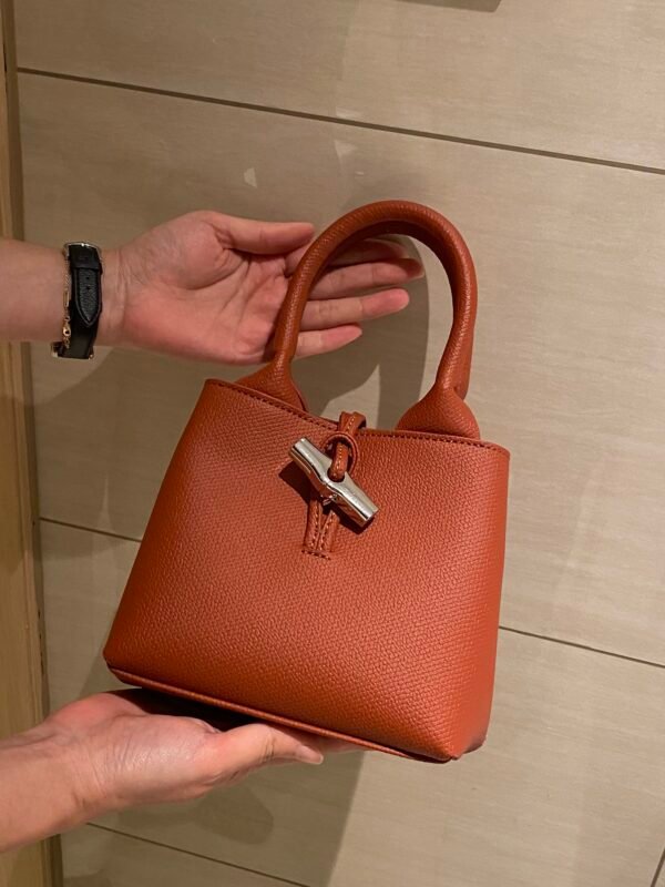 Longchamp bag LC29