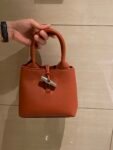 Longchamp bag LC29