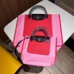 Longchamp bag LC30