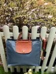Longchamp bag LC31