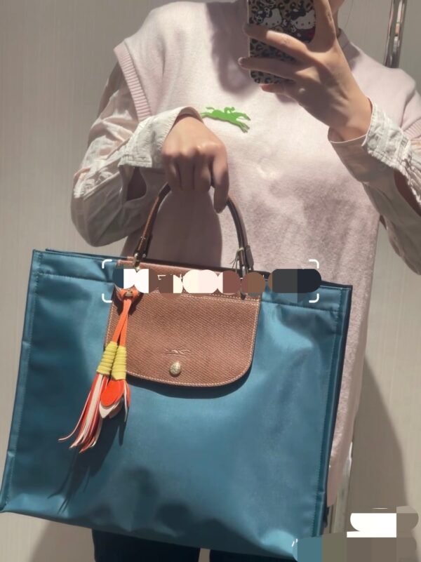 Longchamp bag LC31