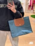 Longchamp bag LC31